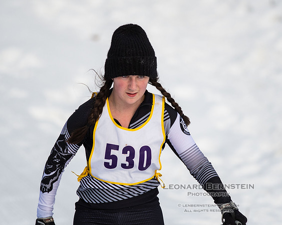 MSHSL State Section 2 Nordic Ski Championships, Theodore Wirth Park, Minneapolis, MN. 7 February  2022.