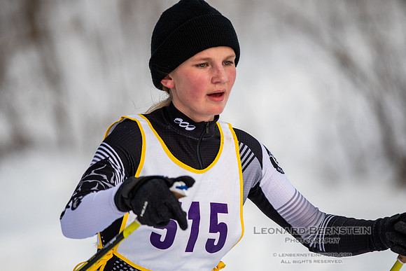 MSHSL State Section 2 Nordic Ski Championships, Theodore Wirth Park, Minneapolis, MN. 7 February  2022.