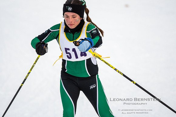 MSHSL State Section 2 Nordic Ski Championships, Theodore Wirth Park, Minneapolis, MN. 7 February  2022.