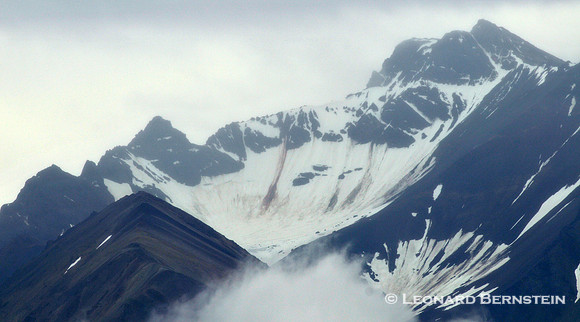 Denali National Park 2016