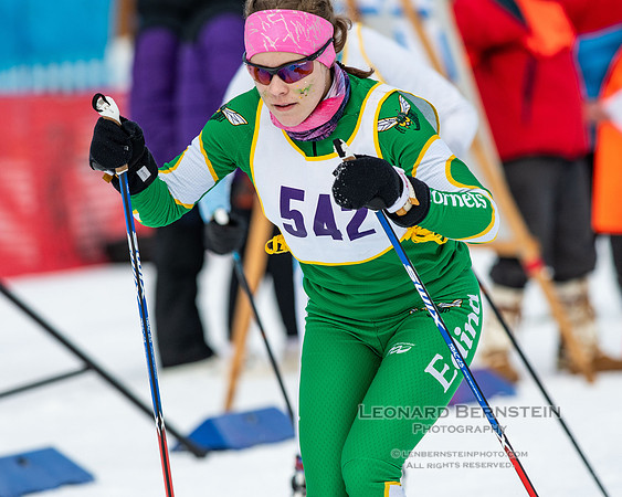 MSHSL State Section 2 Nordic Ski Championships, Theodore Wirth Park, Minneapolis, MN. 7 February  2022.