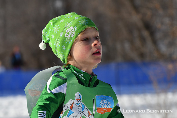 City of Lakes Loppet Freestyle Tour 10 km, 2 Feb. 2020