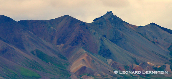 Denali National Park 2016