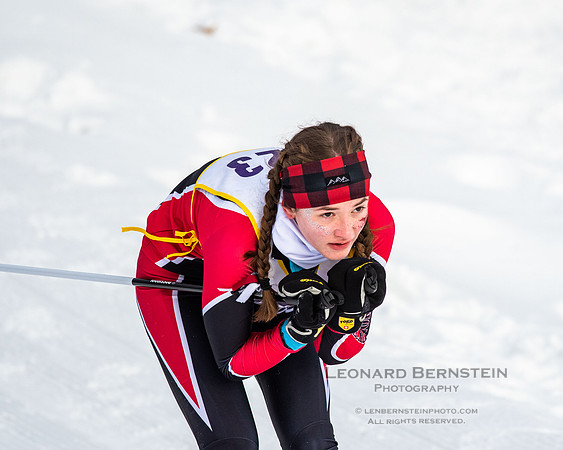 MSHSL State Section 2 Nordic Ski Championships, Theodore Wirth Park, Minneapolis, MN. 7 February  2022.