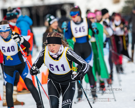 MSHSL State Section 2 Nordic Ski Championships, Theodore Wirth Park, Minneapolis, MN. 7 February  2022.