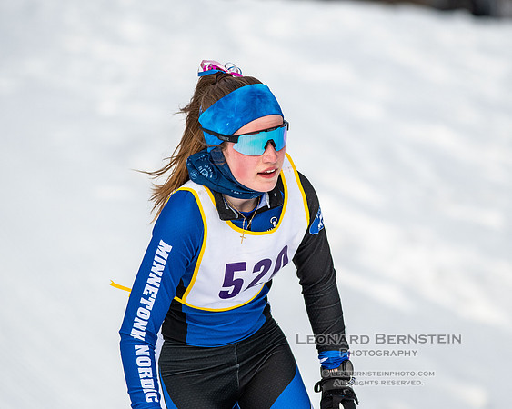MSHSL State Section 2 Nordic Ski Championships, Theodore Wirth Park, Minneapolis, MN. 7 February  2022.