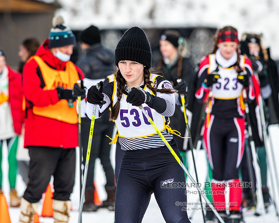 MSHSL State Section 2 Nordic Ski Championships, Theodore Wirth Park, Minneapolis, MN. 7 February  2022.
