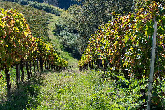 Italy October 2025 ottobre Italia