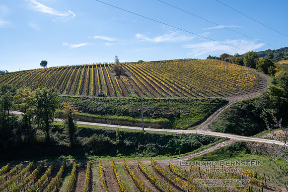 Italy October 2025 ottobre Italia