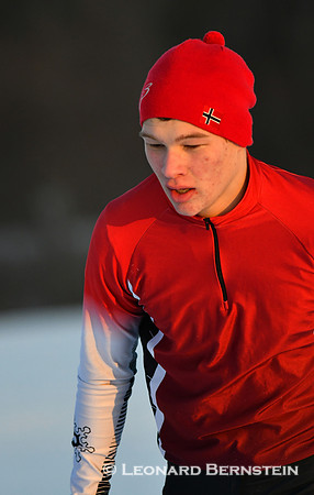 Arne