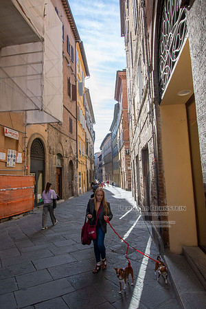 Italy October 2025 ottobre Italia