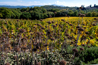 Italy October 2025 ottobre Italia