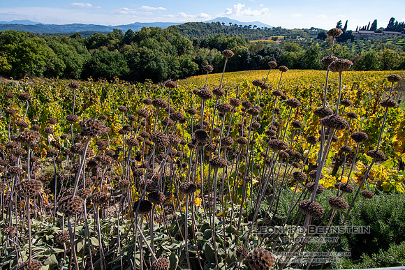 Italy October 2025 ottobre Italia
