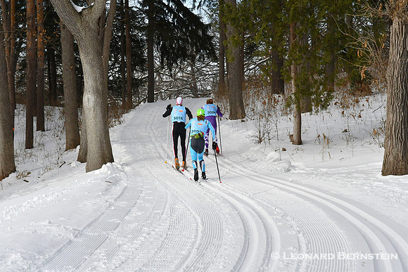 City of Lakes Loppet Classic Marathon 37 km, 1 Feb. 2020