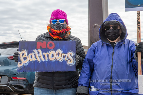 No Kings Rally - St. Louis Park, Minnesota. March 28, 2026.