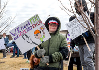 No Kings Rally - St. Louis Park, Minnesota. March 28, 2026.