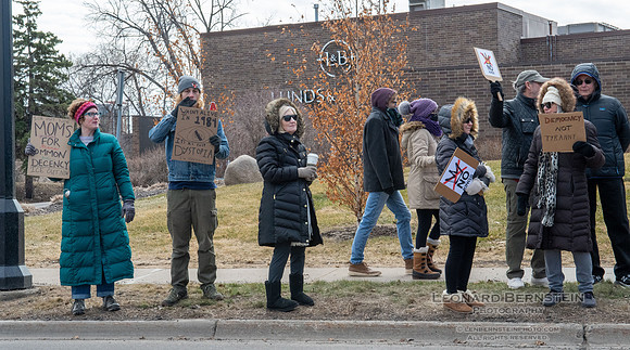No Kings Rally - St. Louis Park, Minnesota. March 28, 2026.