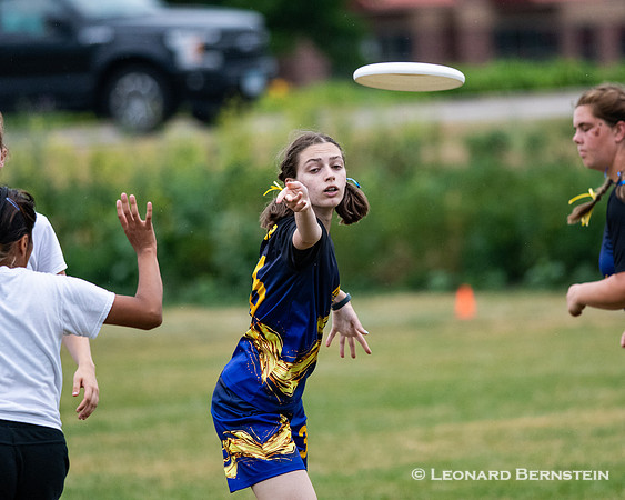 MN HS State 2021 Saturday