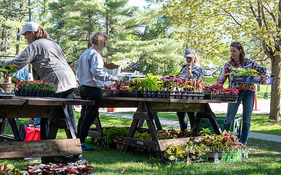 EGC Plant Sale