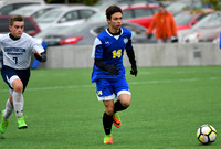 Tigers vs Knights