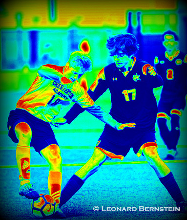 Tigers vs Knights