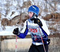 Loppet Skate 38 km: Some 301-400 place finishers