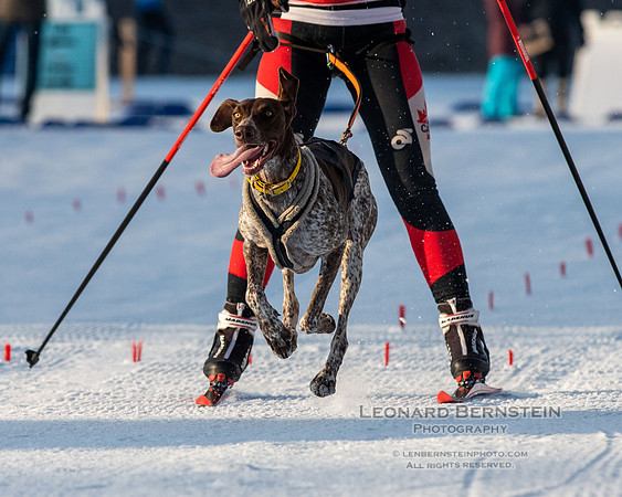 City of Lakes Loppet Winter Festival (COLL), Theodore Wirth Park, Minneapolis, MN. 4 February 2024.