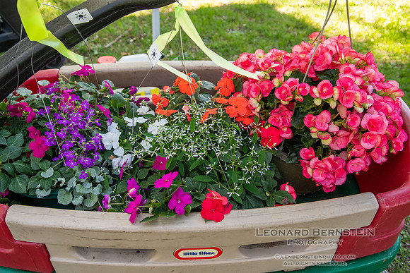 EGC Plant Sale