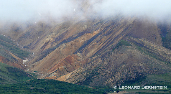 Denali National Park 2016