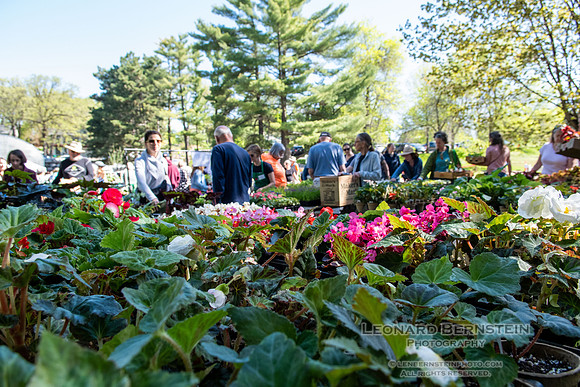 EGC Plant Sale
