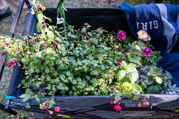 EGC Plant Sale