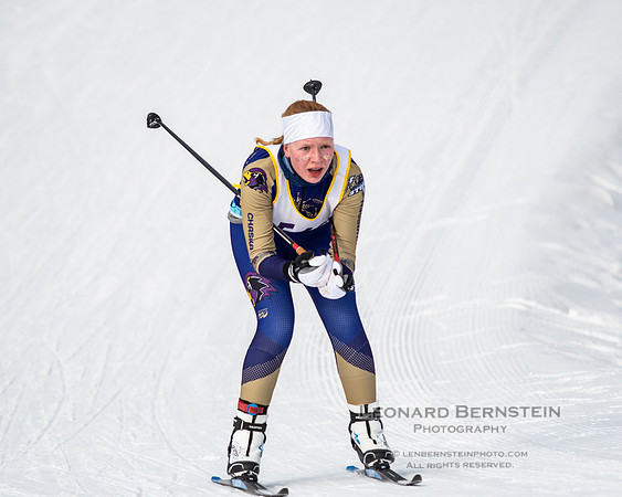 MSHSL State Section 2 Nordic Ski Championships, Theodore Wirth Park, Minneapolis, MN. 7 February  2022.
