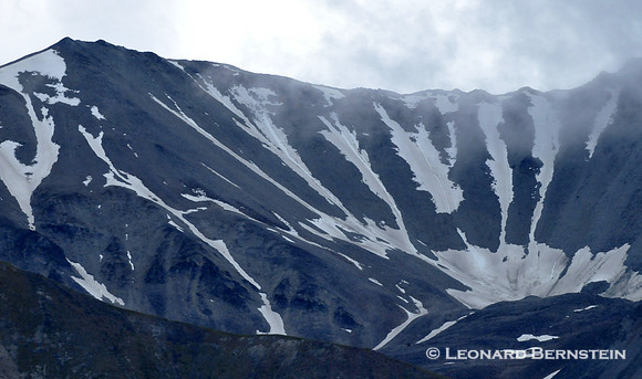 Denali National Park 2016