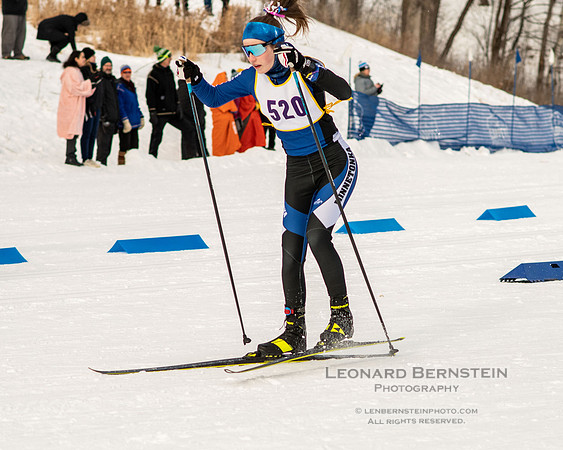 MSHSL State Section 2 Nordic Ski Championships, Theodore Wirth Park, Minneapolis, MN. 7 February  2022.