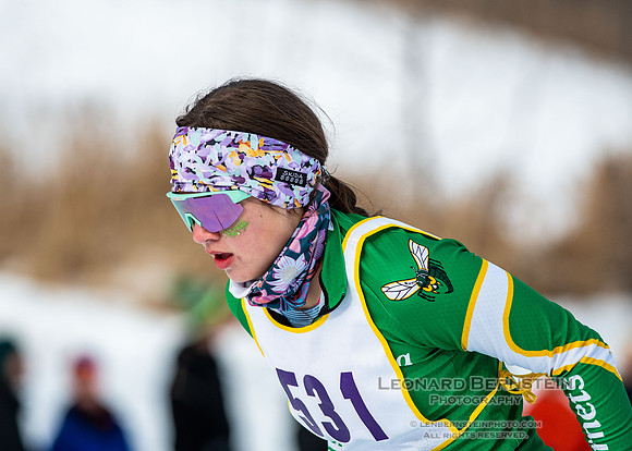 MSHSL State Section 2 Nordic Ski Championships, Theodore Wirth Park, Minneapolis, MN. 7 February  2022.