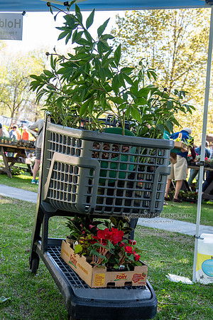 EGC Plant Sale