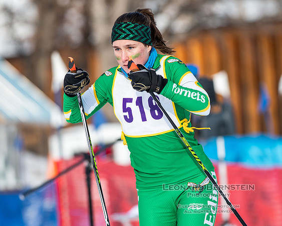 MSHSL State Section 2 Nordic Ski Championships, Theodore Wirth Park, Minneapolis, MN. 7 February  2022.