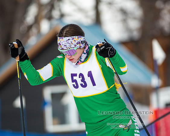 MSHSL State Section 2 Nordic Ski Championships, Theodore Wirth Park, Minneapolis, MN. 7 February  2022.