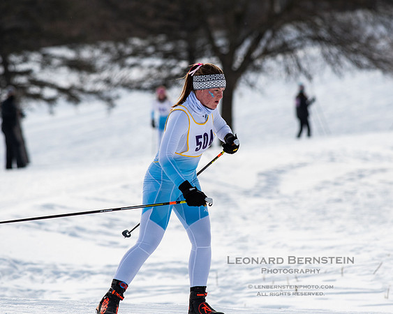 MSHSL State Section 2 Nordic Ski Championships, Theodore Wirth Park, Minneapolis, MN. 7 February  2022.