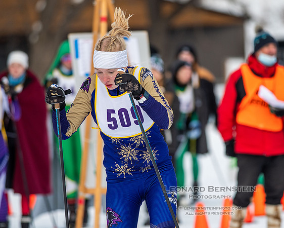 MSHSL State Section 2 Nordic Ski Championships, Theodore Wirth Park, Minneapolis, MN. 7 February  2022.