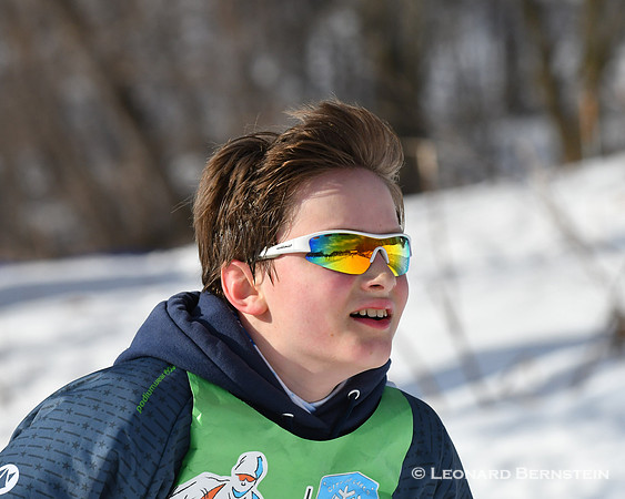 City of Lakes Loppet Freestyle Tour 10 km, 2 Feb. 2020