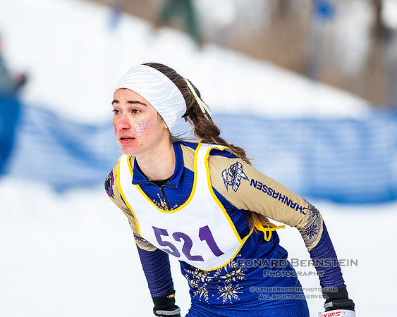 MSHSL State Section 2 Nordic Ski Championships, Theodore Wirth Park, Minneapolis, MN. 7 February  2022.