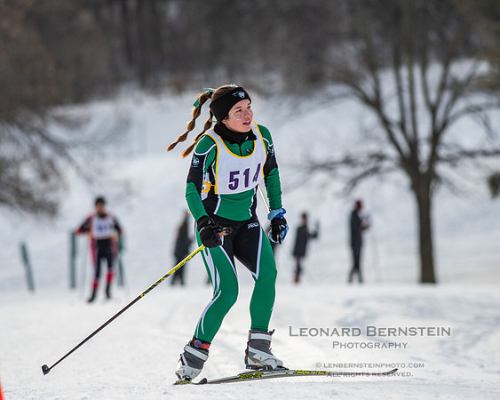 MSHSL State Section 2 Nordic Ski Championships, Theodore Wirth Park, Minneapolis, MN. 7 February  2022.