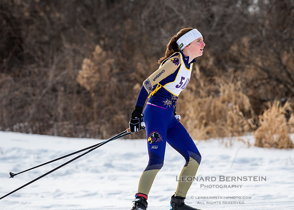MSHSL State Section 2 Nordic Ski Championships, Theodore Wirth Park, Minneapolis, MN. 7 February  2022.