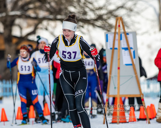 MSHSL State Section 2 Nordic Ski Championships, Theodore Wirth Park, Minneapolis, MN. 7 February  2022.