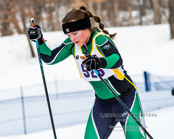MSHSL State Section 2 Nordic Ski Championships, Theodore Wirth Park, Minneapolis, MN. 7 February  2022.