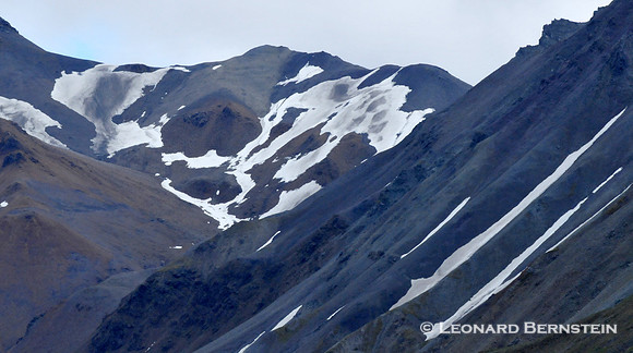 Denali National Park 2016