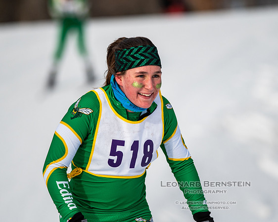 MSHSL State Section 2 Nordic Ski Championships, Theodore Wirth Park, Minneapolis, MN. 7 February  2022.