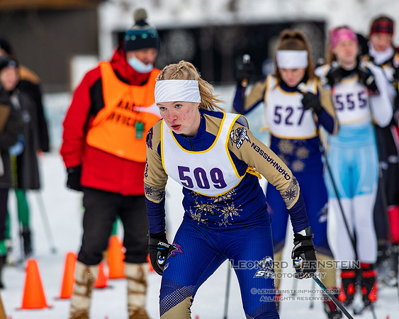 MSHSL State Section 2 Nordic Ski Championships, Theodore Wirth Park, Minneapolis, MN. 7 February  2022.
