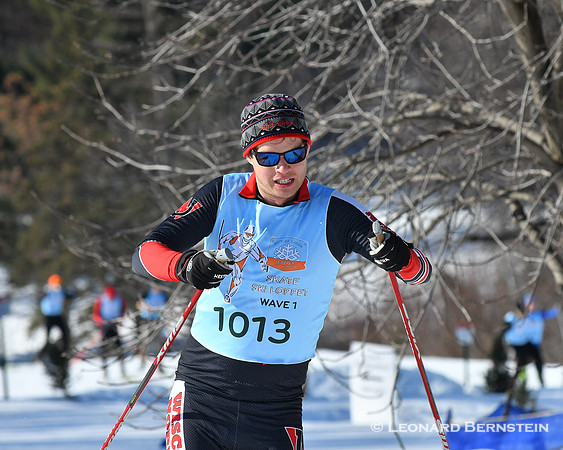 City of Lakes Loppet Freestyle Marathon 37 km, 2 Feb. 2020